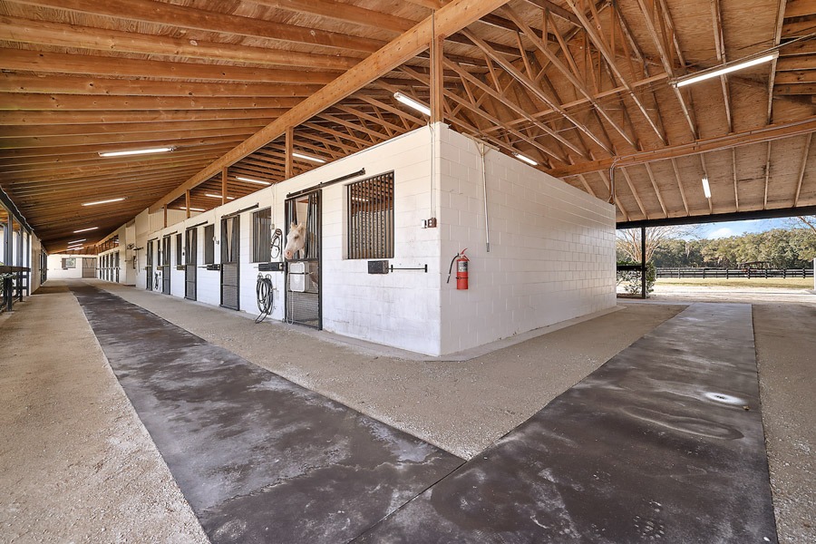 Horse boarding facilities in Ocala